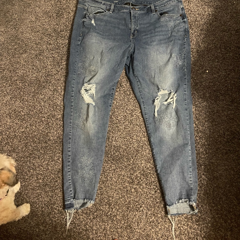 Lane Bryant jeans
